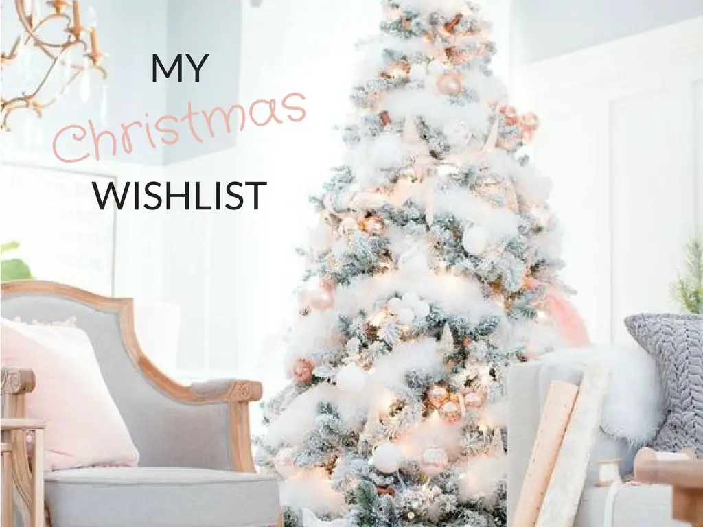 My Christmas Wishlist 1.