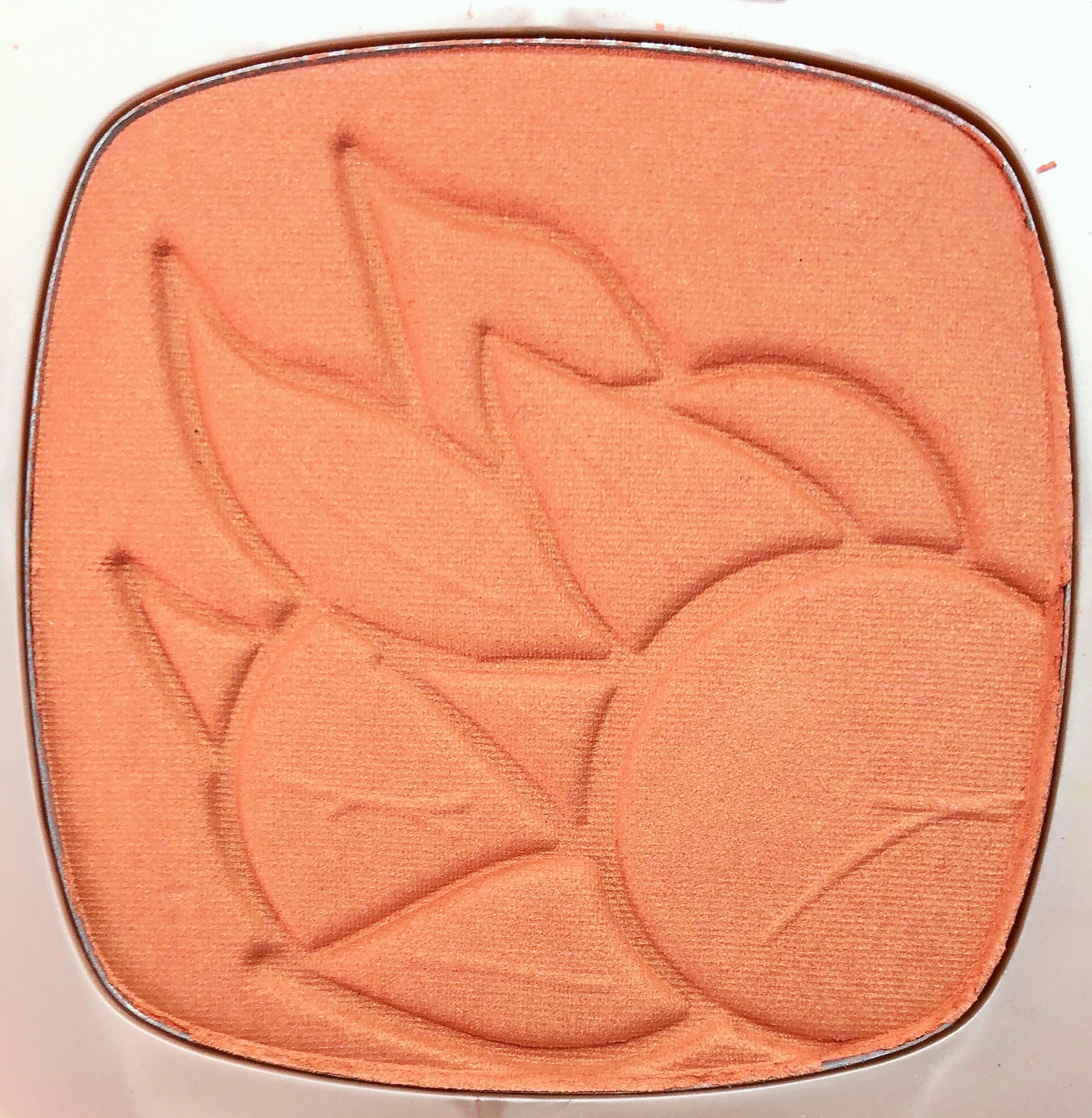 Review L'Oréal Life's A Peach Blush (7)